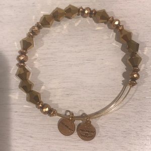 Alex And Ani bracelet